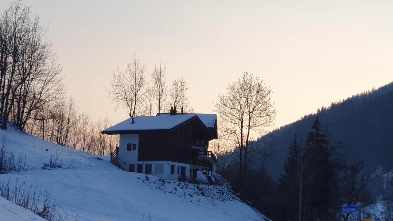 Chalet Carpe Diem Fieschertal ภายนอก รูปภาพ
