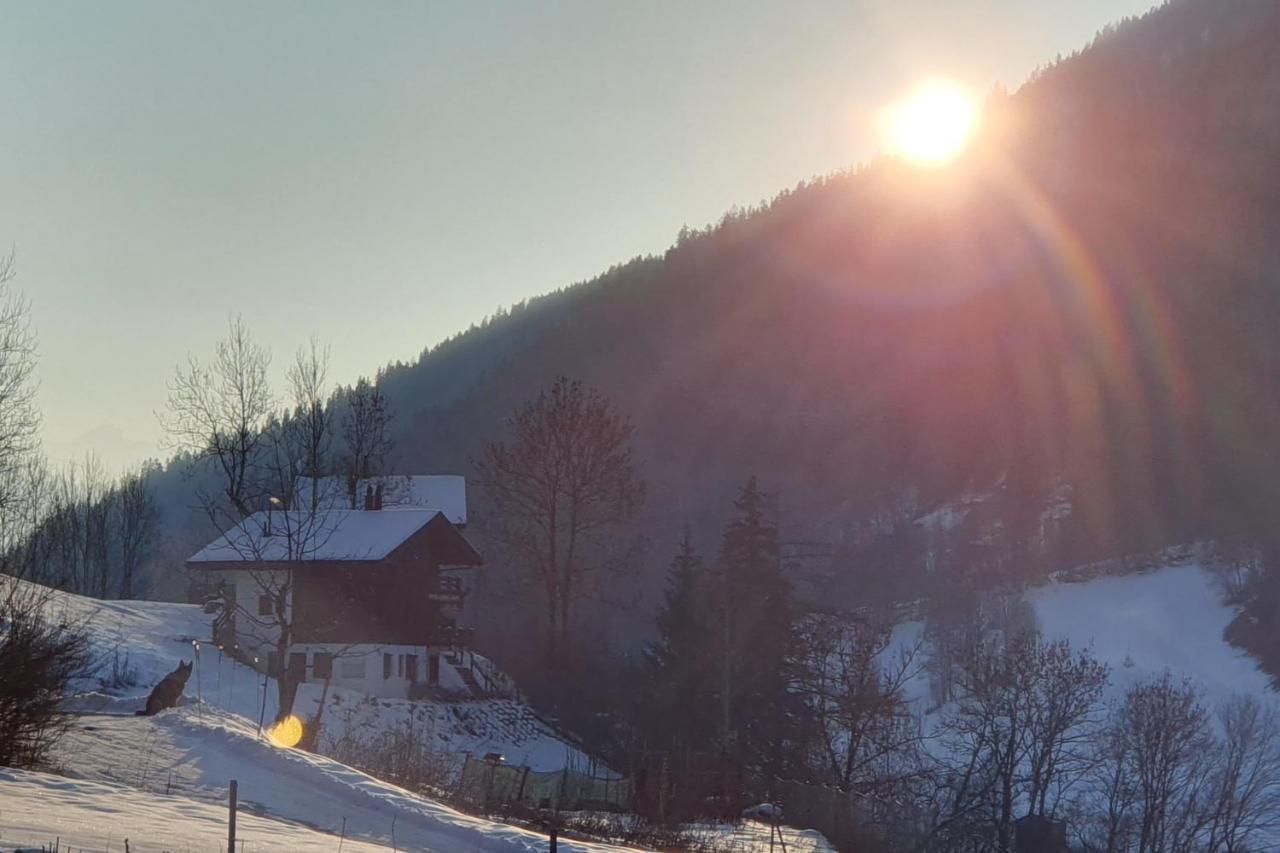 Chalet Carpe Diem Fieschertal ภายนอก รูปภาพ