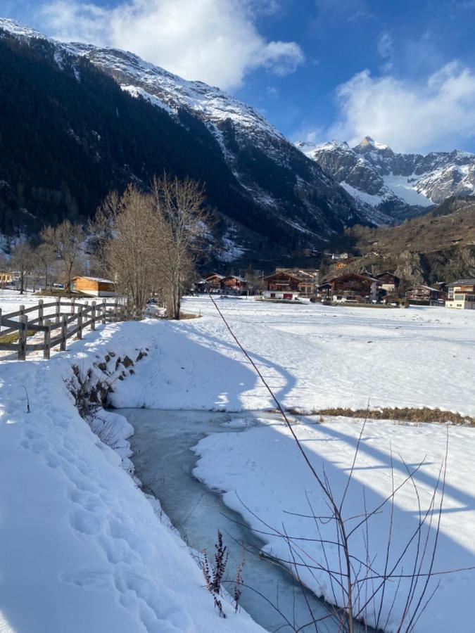 Chalet Carpe Diem Fieschertal ภายนอก รูปภาพ